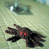 Tarantula Cookies*