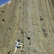 Vegan Zucchini Chips