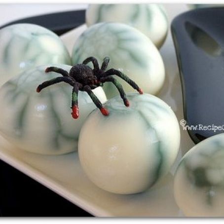 Scary Spiderweb Eggs