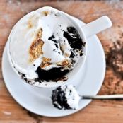 5 Minute Chocolate Fudge S'mores Mug Cake