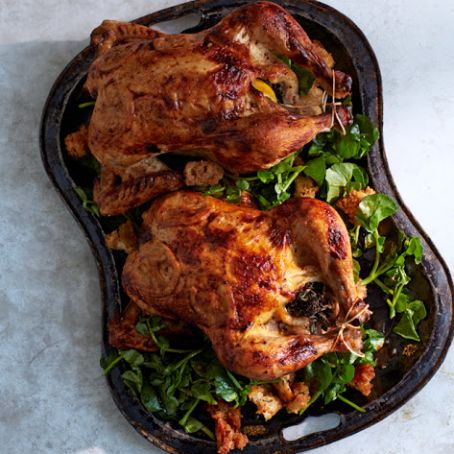Buttermilk Brined Chicken with Cress and Bread Salad