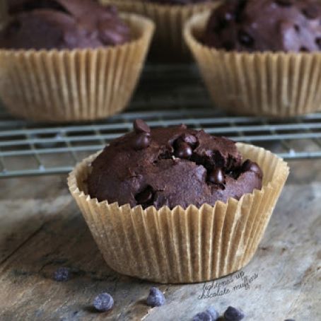 Lighter Gluten Free Chocolate Muffins - Gluten-Free on a Shoestring