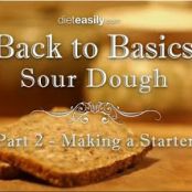 Sourdough Starter (GF)