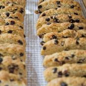 Meyer Lemon Biscotti with Dried Wild Blueberries