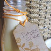 Pumpkin Spice Coffee Creamer