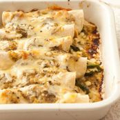 Easy Chicken Enchiladas