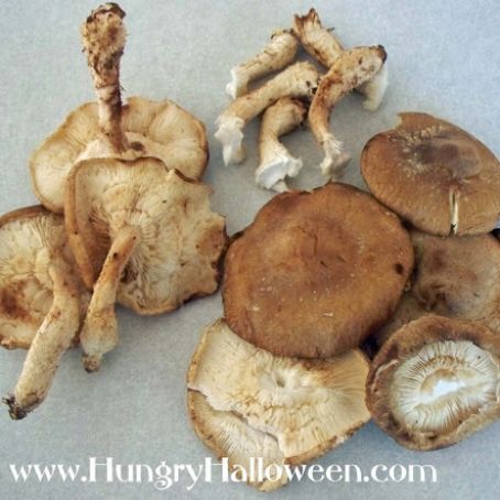 Cream of Mushroom Soup