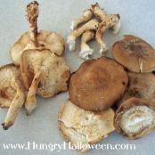 Cream of Mushroom Soup