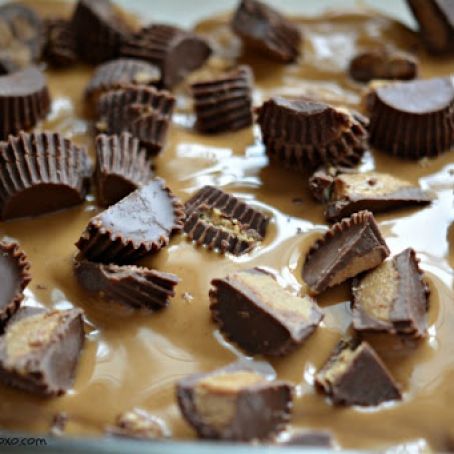 Peanut Butter Cookie Lasagna