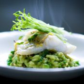 Spring Pea Risotto with Halibut, Spanish Chorizo and Mint