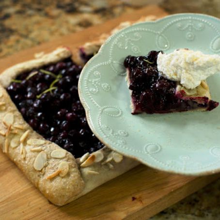 Blueberry Tart (Jill Bauer - QVC)