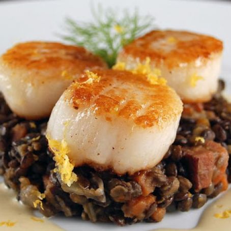 Sea Scallops with Puy Lentils and Fennel Cream