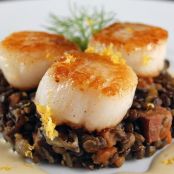 Sea Scallops with Puy Lentils and Fennel Cream