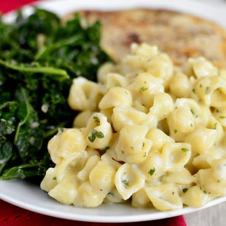 Creamy Garlic Shells