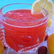 Luscious Slush Punch