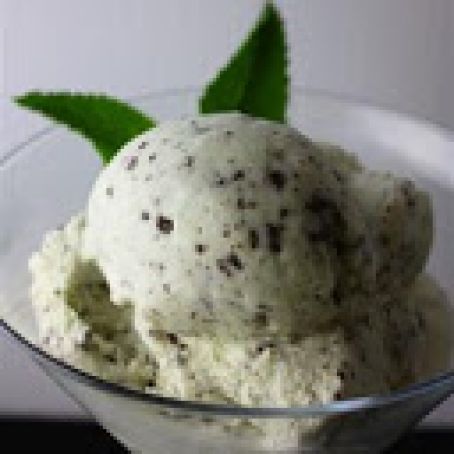 Easy Mint Chocolate Chip Ice Cream