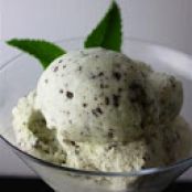 Easy Mint Chocolate Chip Ice Cream