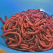 Bowl of Worms