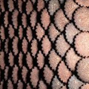 Chocolate Shortbread Cookies