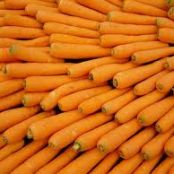 Quick Carrot Salad
