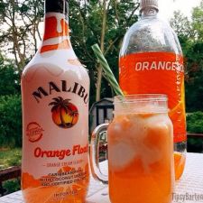 MALIBU ORANGE FLOAT