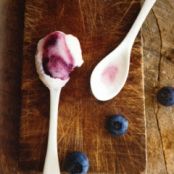 Blueberry Goat's Milk Frozen Yogurt