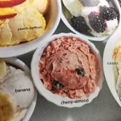 Frozen Yogurt with Variations