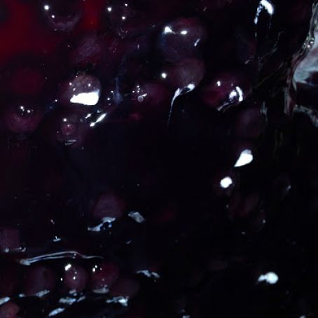 Blueberry Cheesecake Pie