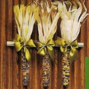 Design - October Corn Door
