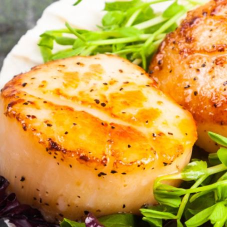 Seared Scallops and Herbed Butter Sauce