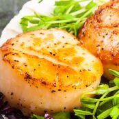 Seared Scallops and Herbed Butter Sauce