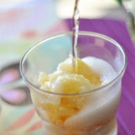 Fizzy Citrus Fruit Slush