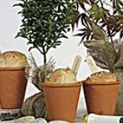 Pots of Bread