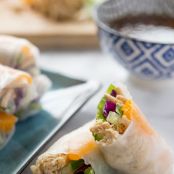 Chinese Chicken Salad Spring Rolls