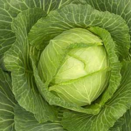 HCG Diet (P2/3) Cabbage Soup