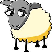 Nancy's Shepherd's Pie with Lamb