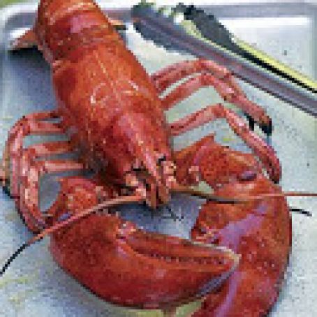 Grilled Lobster