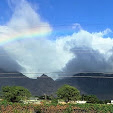 Basically Awesome Bread Pudding