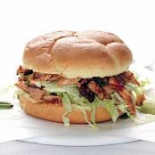 Tex-Mex Pulled Turkey Sandwhich
