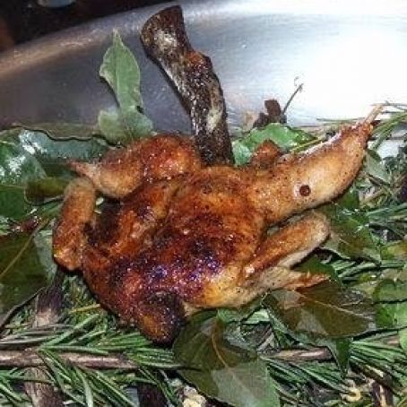 ROASTED QUAIL w/SOUR APRICOT GLZ & FOIE GR.