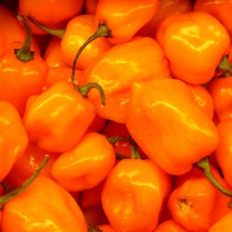 Habanero Salsa