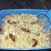 Kitty Litter Cake