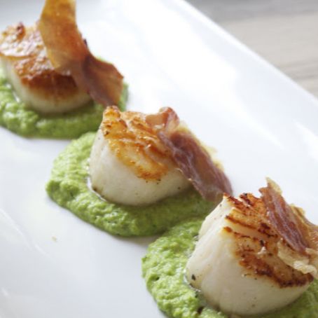 SEARED SCALLOPS WITH PEA PUREE AND CRISPY PROSCIUTTO