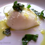 Mozzarella with Olive Oil