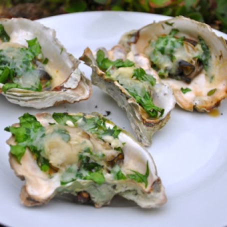 Oysters on the Grill