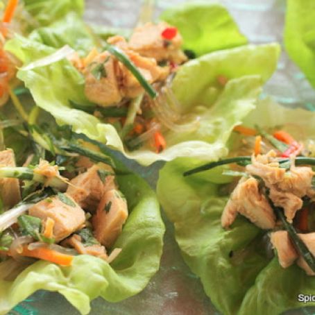 Asian Chicken Salad in Lettuce Cups