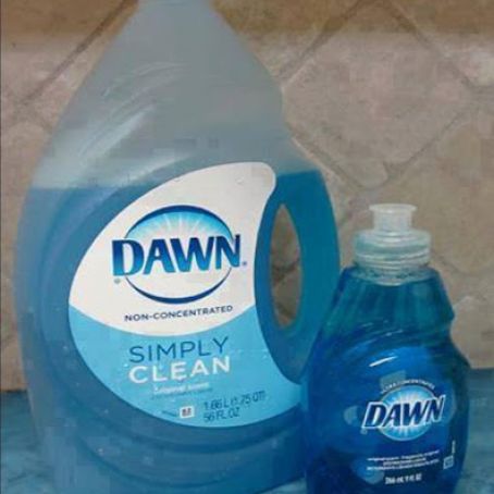 ORIGINAL BLUE DAWN . . . IT’S NOT JUST FOR DISHES ANYMORE