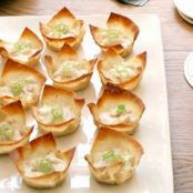 Crab Rangoon  {kraft}