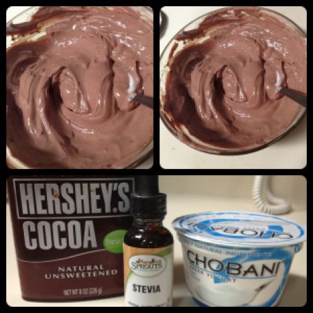 Chocolate Protein FroYo