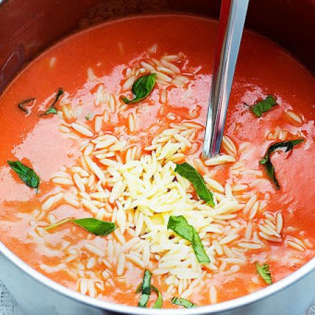 Tomato Basil Orzo Soup